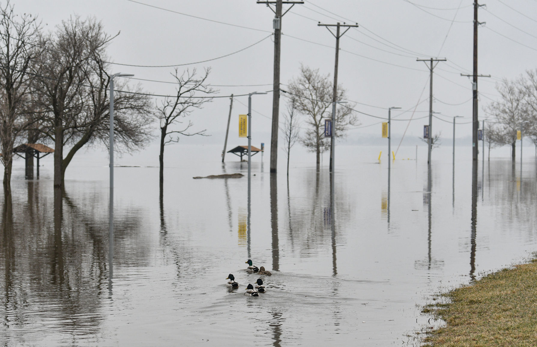 River Drive flooding in Moline